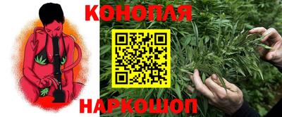 хмурый Тула
