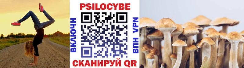 сайты даркнета формула  Смоленск  Псилоцибиновые грибы Cubensis 