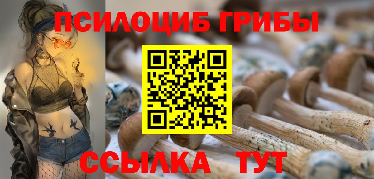 Псилоцибиновые грибы Psilocybe Смоленск